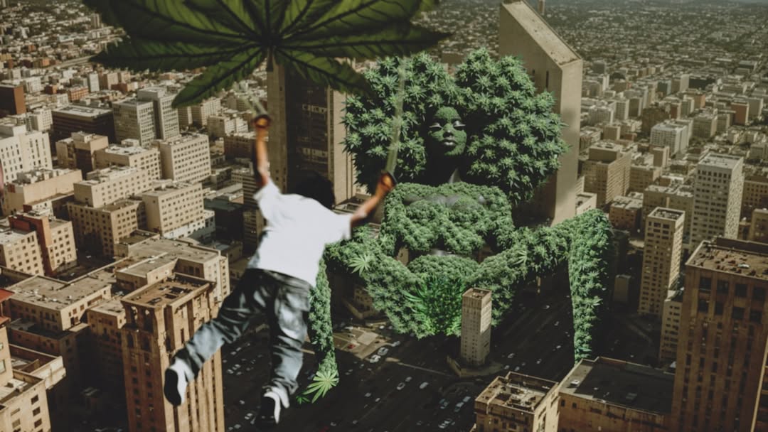 Snoop Dogg Sequence 3.6